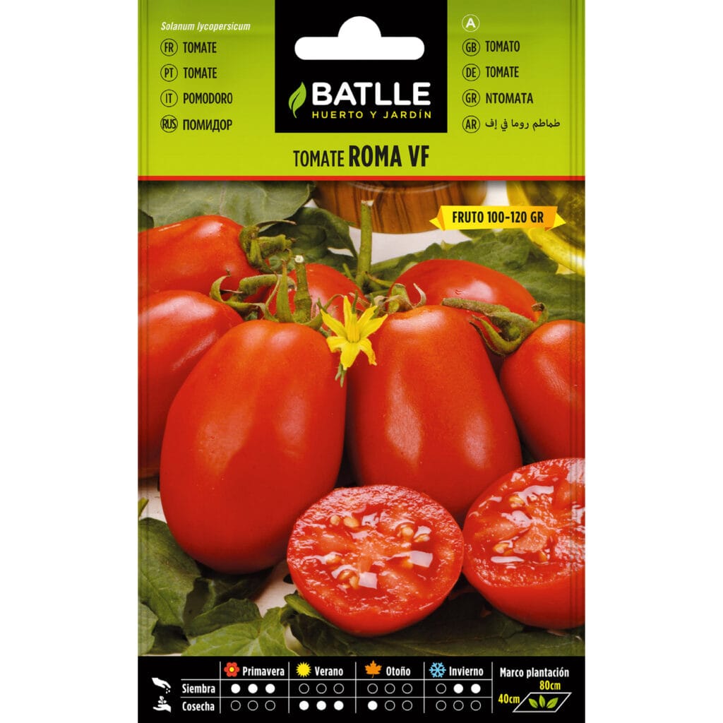 tomate roma vf