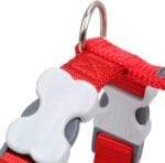 PETRAL ROJO 20 MM CUELLO 37-61 - Imagen 2