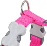 PETRAL FUXIA 15 MM CUELLO 30-48 - Imagen 3