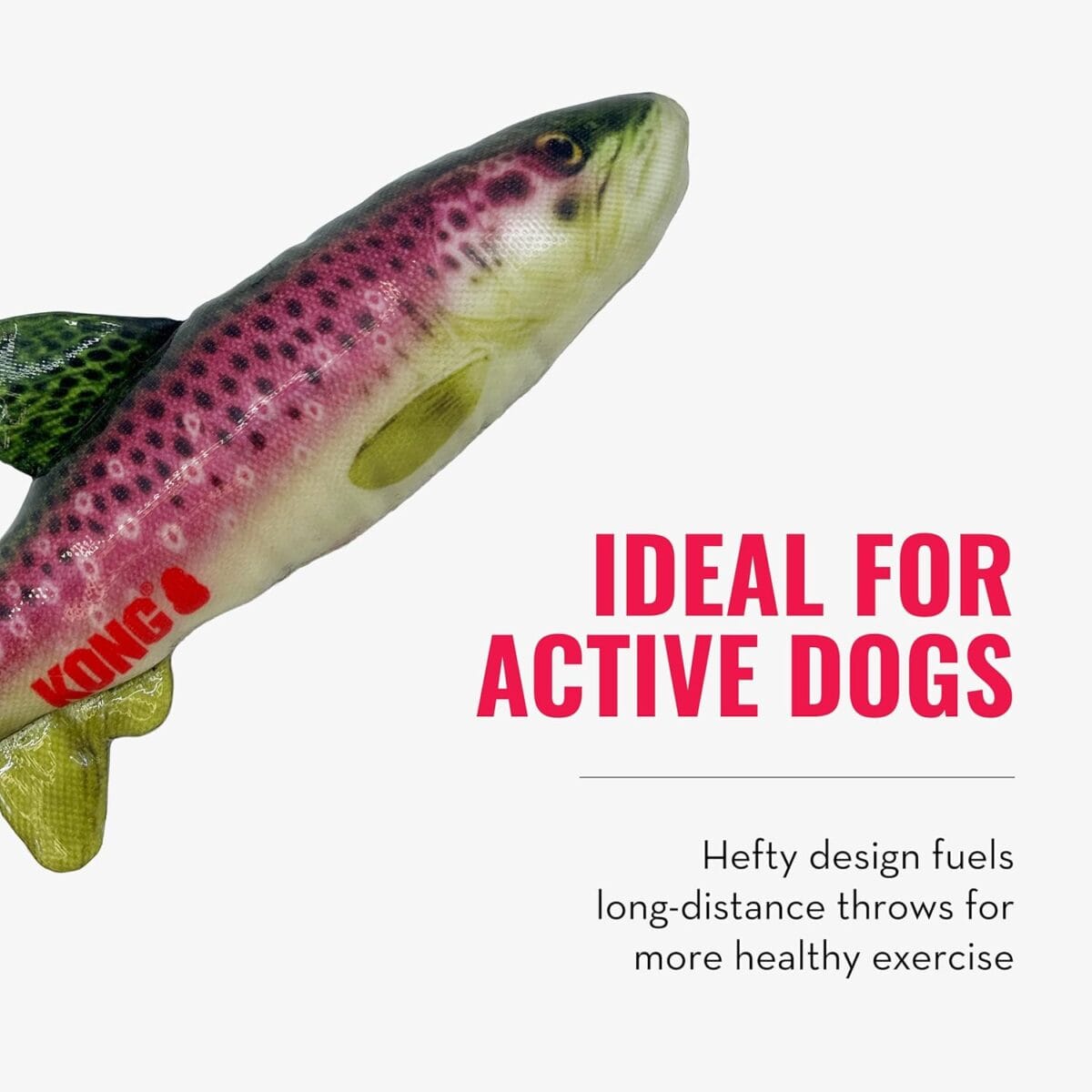 KONG WILDSHIELDZ PERCH T-M - Imagen 4