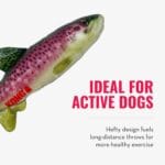 KONG WILDSHIELDZ PERCH T-M - Imagen 4