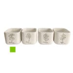 MACETERO ALBAHACA 14X14X12