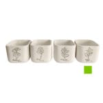 MACETERO MENTA 14X14X12