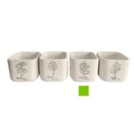 MACETERO OREGANO 14X14X12