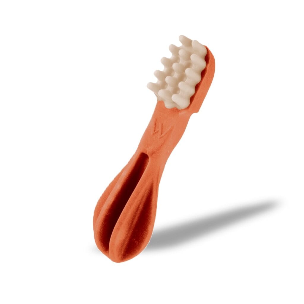 Whimzeestoothbrushcepillosnackde