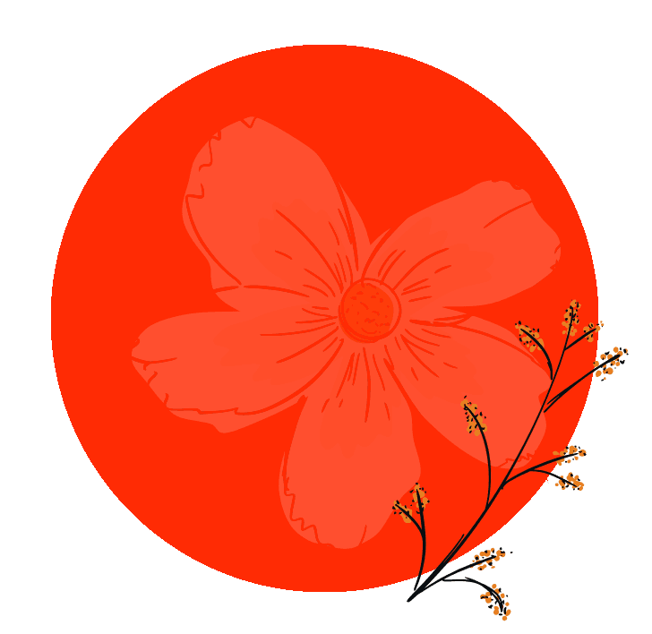 burbuja naranjamadre