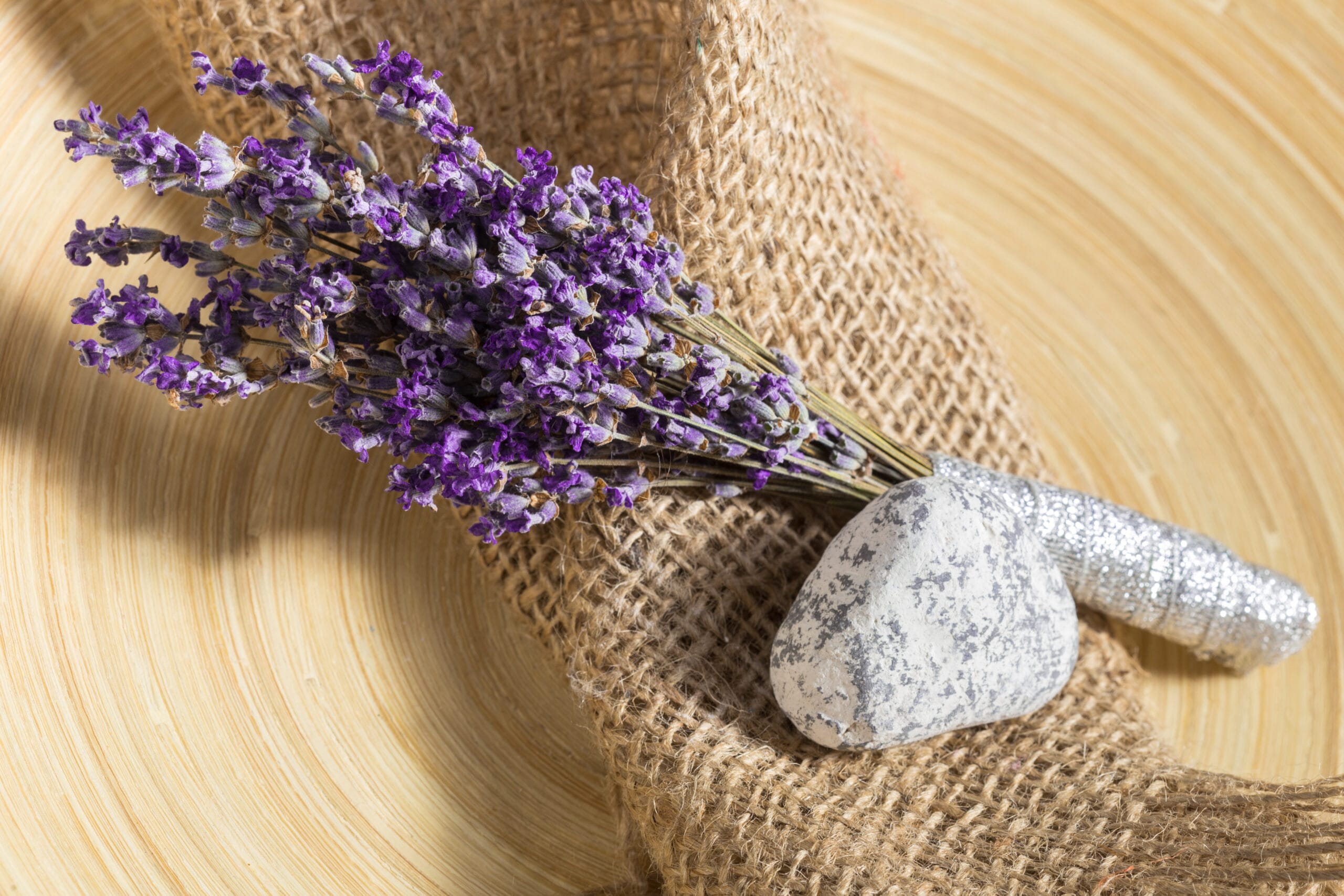 Cuidados de la lavanda en casa