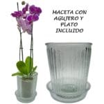 MACETA VIDRIO C/ PLATO RAYAS