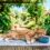 refrescar gato verano