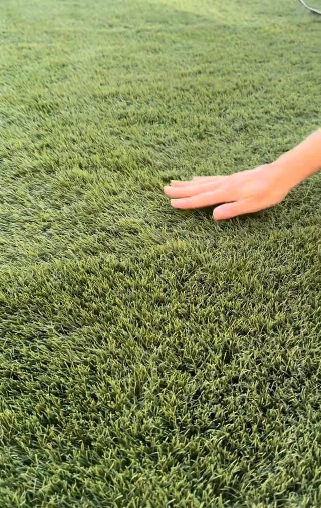 Cómo limpiar el césped artificial