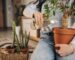 regar las plantas en vacaciones