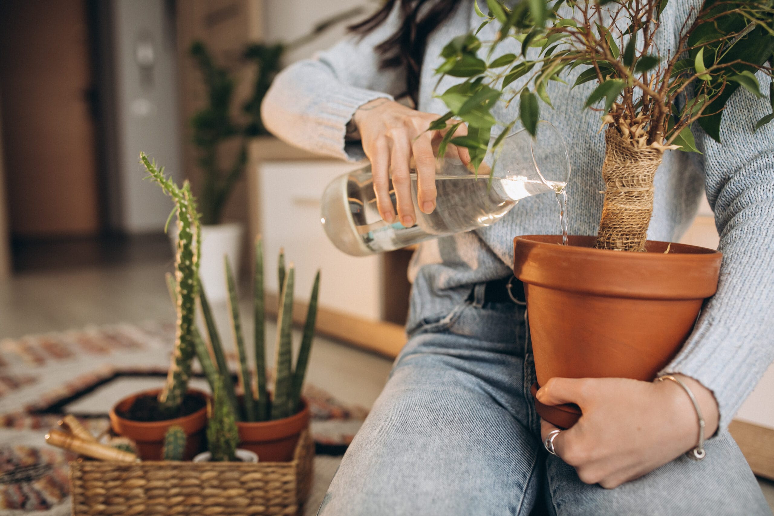 regar las plantas en vacaciones