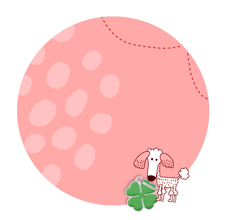 burbuja 1