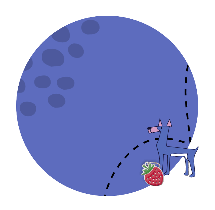 burbuja 4