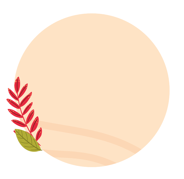 burbuja3