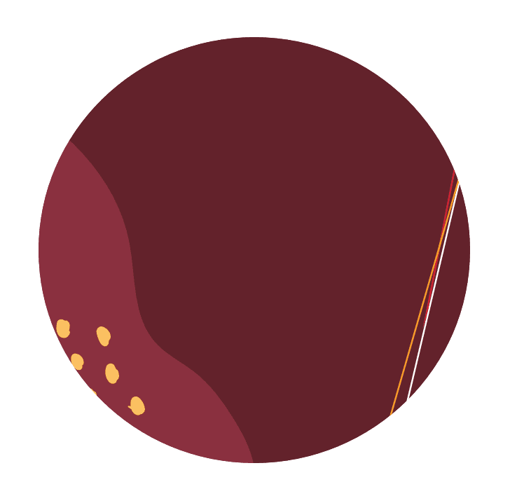 burbuja4