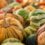 Tipos de calabazas para Halloween: Guía completa de variedades, elección y vaciado