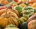 Tipos de calabazas para Halloween: Guía completa de variedades, elección y vaciado