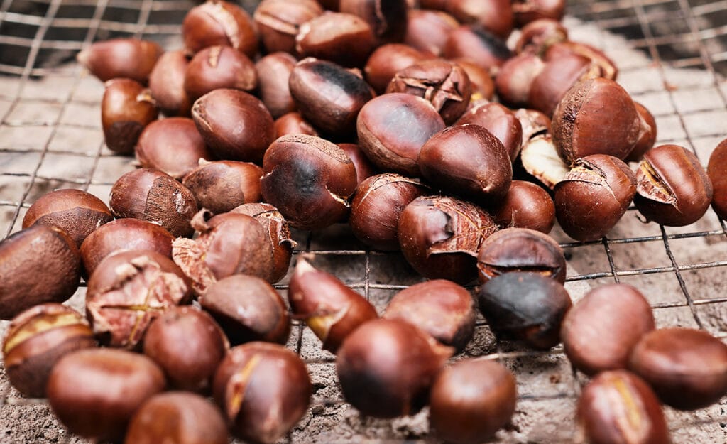 Claves para un buen magosto en casa: Guía completa de castañas, fuego y tradición