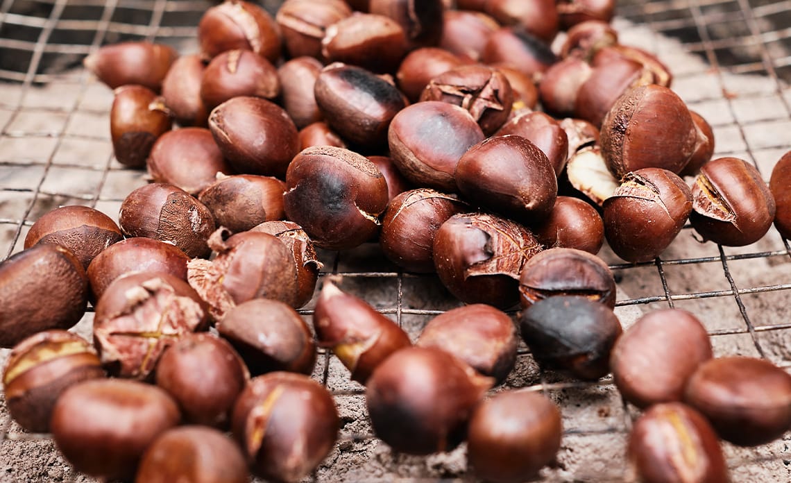 Claves para un buen magosto en casa: Guía completa de castañas, fuego y tradición