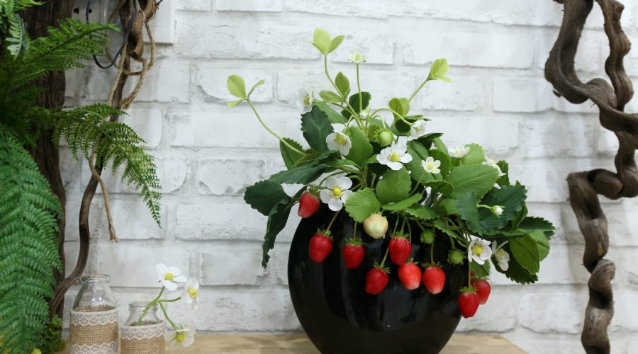 20201231_propositos-ano-nuevo-huerta-jardin-mascotas_3