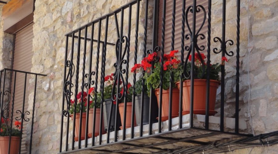 20201231_propositos-ano-nuevo-huerta-jardin-mascotas_5